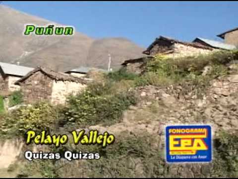 Quizas Quizas - Pelayo Vallejo