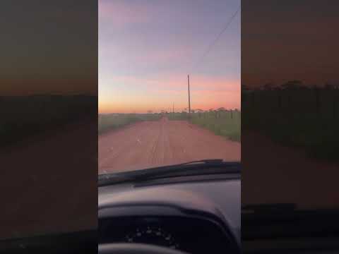 Fazenda , Emilianópolis-SP #shorts #shortvideo