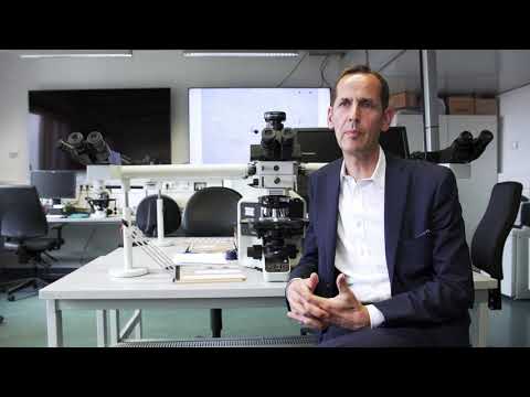 Ursachenforschung bei der ALS