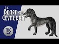 What Was The Beast Of Gévaudan