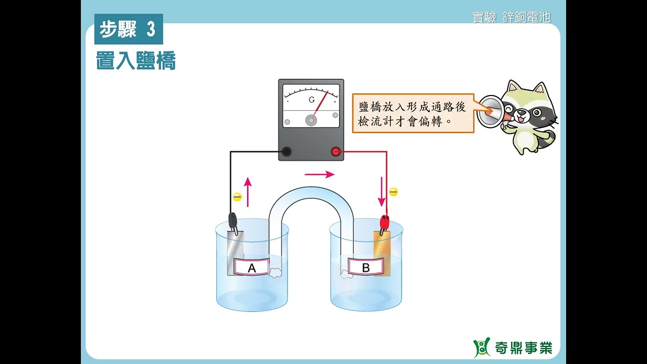 實驗6：鋅銅電池