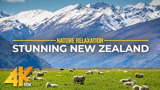 Fabulous Landscapes & Wildlife of New Zealand | 4K HDR Coastline Scenery & Real Nature Sounds