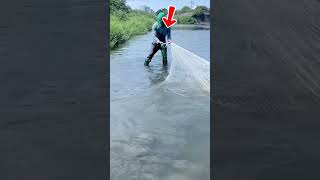 Traditional Cast Net Fishing in the River | Big Catch! 🌊🐟