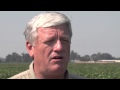 A Student S Guide To Careers In Plant Physiology