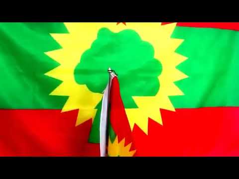 Leecalloowwan Oromoo Angaatuu Fi Kumalaa