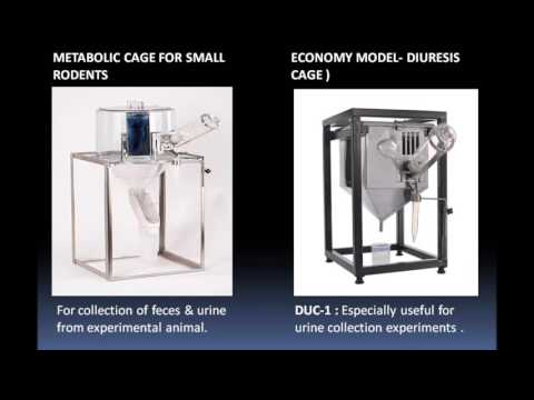 Metabolic Cages For Small Rodents