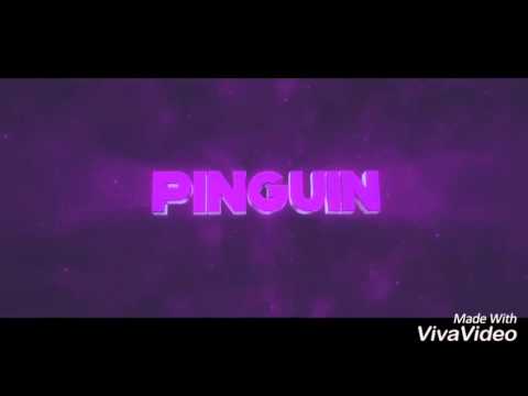 #PinguinArmy|Wichtige Infos in der Box|♥