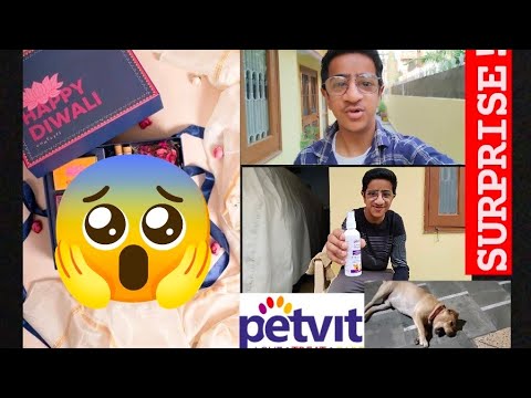 Tyson ka Diwali Gift Aur Ek Aam Din 😃 ll Ojasvi Sharma #surprise