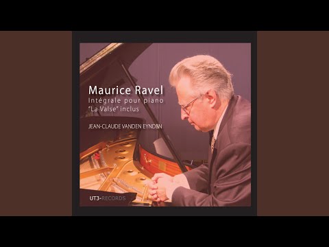 Miroirs: Oiseaux Tristes