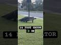 Massive Florida Gator 🐊 (Space Coast) #wild #survival #alligator #shtf #gatorhunt #floridaman