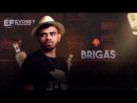 BRIGAS - EVONEY FERNANDES - MUSGA DE HOMI (CD NOVO 2023)