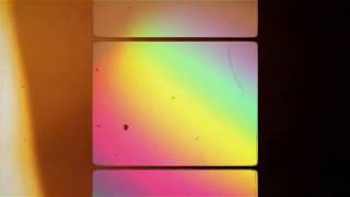 Snow In June - Flying At Tree Level (Brand New)