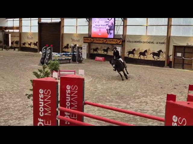 PFS hongre 11 ans pour As2.
