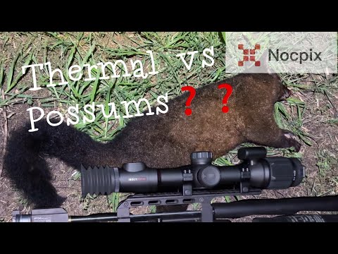 Thermal Scope Pest Control