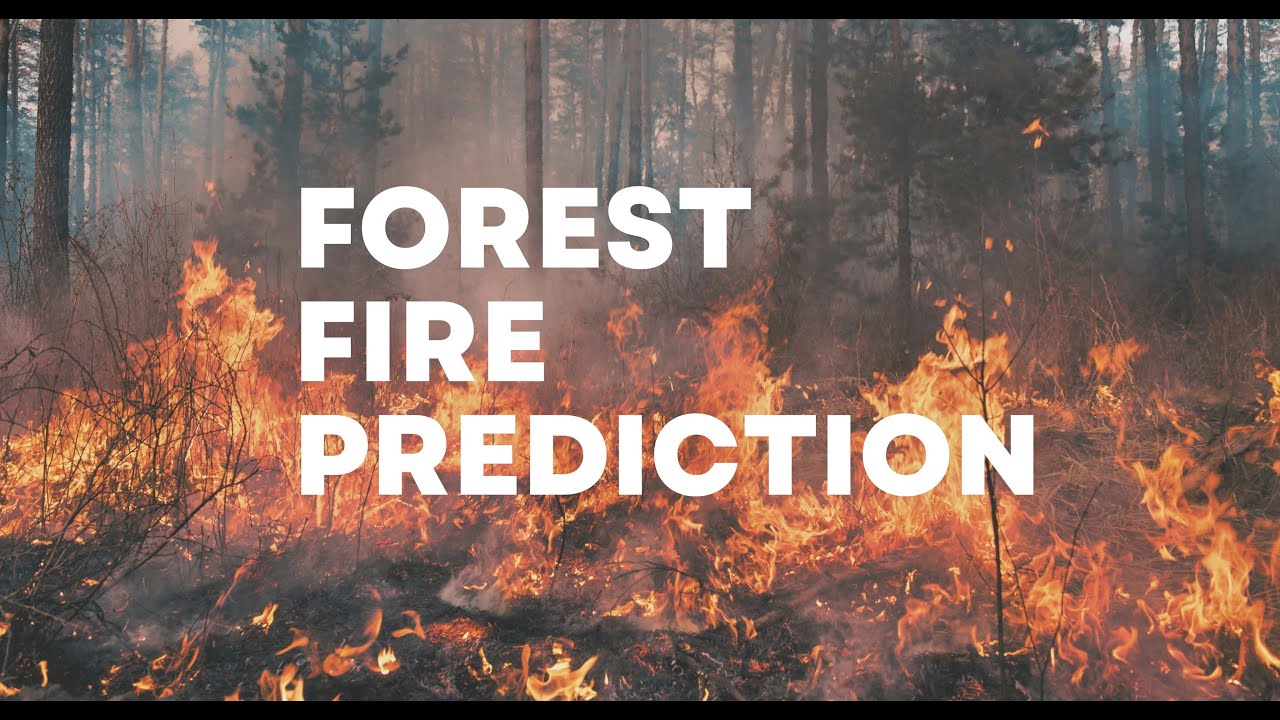 Forest Fire Prediction | Machine Learning Project
