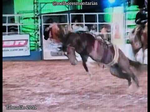 Bandido da Tropa do Tito Cardoso - Taboadão 2011