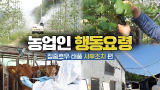 집중호우, 태풍 발생 후에는 어떻게 해야할까요? | 자연재해 사후 조치요령