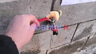 В Николаеве массово замерзают пункты выдачи питьевой воды (видео)