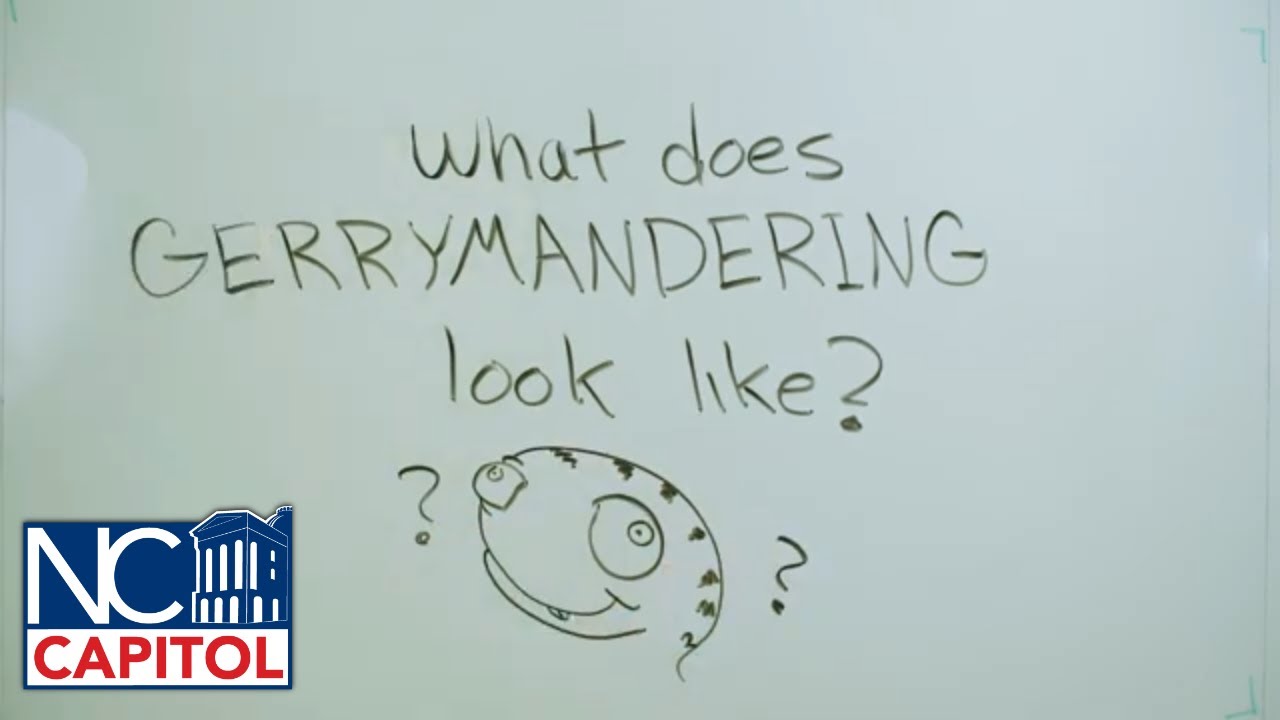 What does gerrymandering look like?