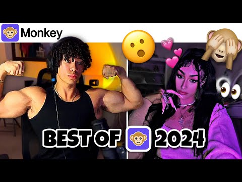 BEST OF AESTHETICS ON MONKEY 2024 EDITION