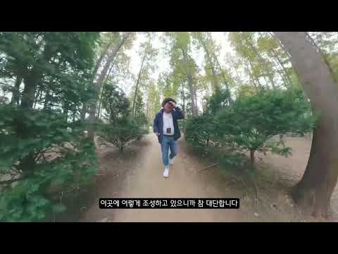 [유튜브 서포터즈] 걷기좋은 길_벌영리 메타세콰이어 숲 / 영덕명소 / 인생샷 / 포토존