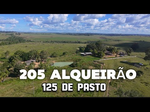 ESSA EA FAZENDA MAIS LINDA DA REGIÃO DE BRASIL NOVO NO ESTADO DO PARÁ 😳😱 confiram!!