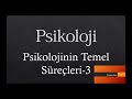 11. Sınıf  Psikoloji Dersi  Güdülenme LYS-4 Psikoloji açıklamalı sorularla konu anlatımı. konu anlatım videosunu izle