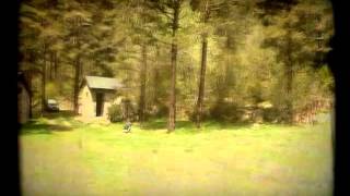 The Roost / ELLIOTT SMITH