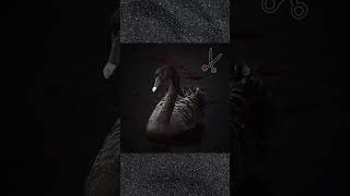 Mau Maus &#39;Blak Iz Blak&#39; (DJ Excellence Lowcut remix) #djexcellence #mosdef #hiphop #rap #boombap