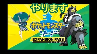 【ポケモン剣盾】鎧の孤島協力プレイ