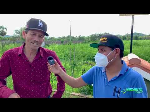 La historia del pocho ántrax  exito de RÉGULO CARO