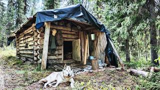 Off-Grid Living in Remote Forest Cabin | No Electricity, True Homestead Life