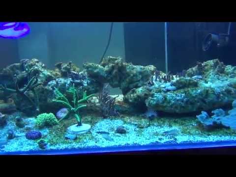 dwa i poł miesiąca od startu