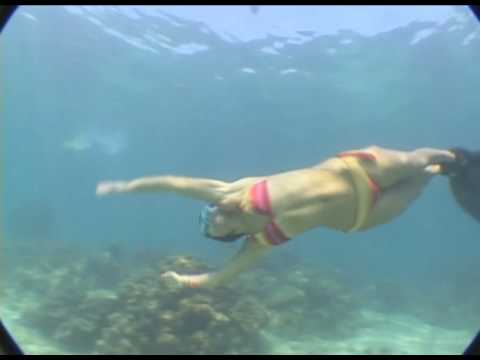 Ilaria Molinari, Freediving with dolphins