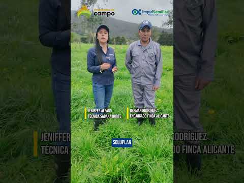 🌱 Potencia tus pasturas con SoluPlant: nutrición que transforma praderas en productividad. 🐄