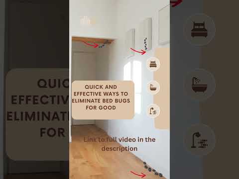 Fastest Way to Kill Bed Bugs | Quick Bed Bug Removal Guide