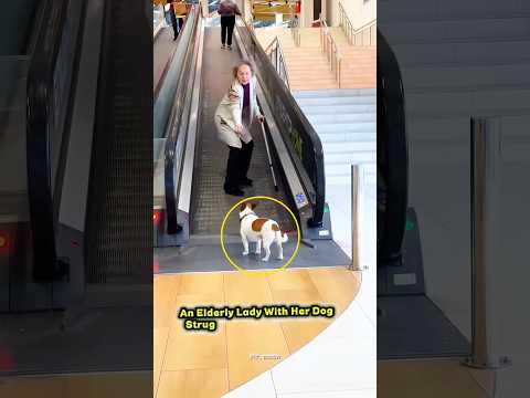 Humanity Still Exists.❤️❤️ Part 1 #humanity #motivation #emotional #kindness  #doglover #shorts