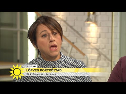 Panelen om statsministeromröstningen - Nyhetsmorgon (TV4)