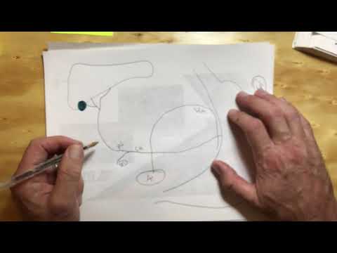 9d celiac trunk draw it