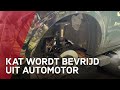 Brandweer bevrijdt beknelde poes uit motor van auto