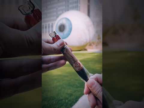 💨💨💨 #хьюмидор #сигары #табак #davidoff #cohiba #bolivar #montecristo