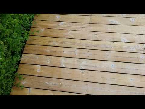 Sioo Träskydd och Ytskydd: Resultatet efter 9 dagar (2016-06-13)