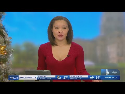 HHHS holding 'Santa Paws' photo shoot this weekend in Topeka - YouTube