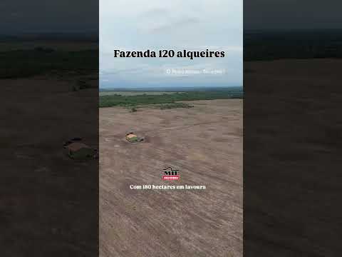 Fazenda 120 alqueires (580 hectares ) Pedro Afonso-TO /Rio Negro #fazendaavenda #agro #soja