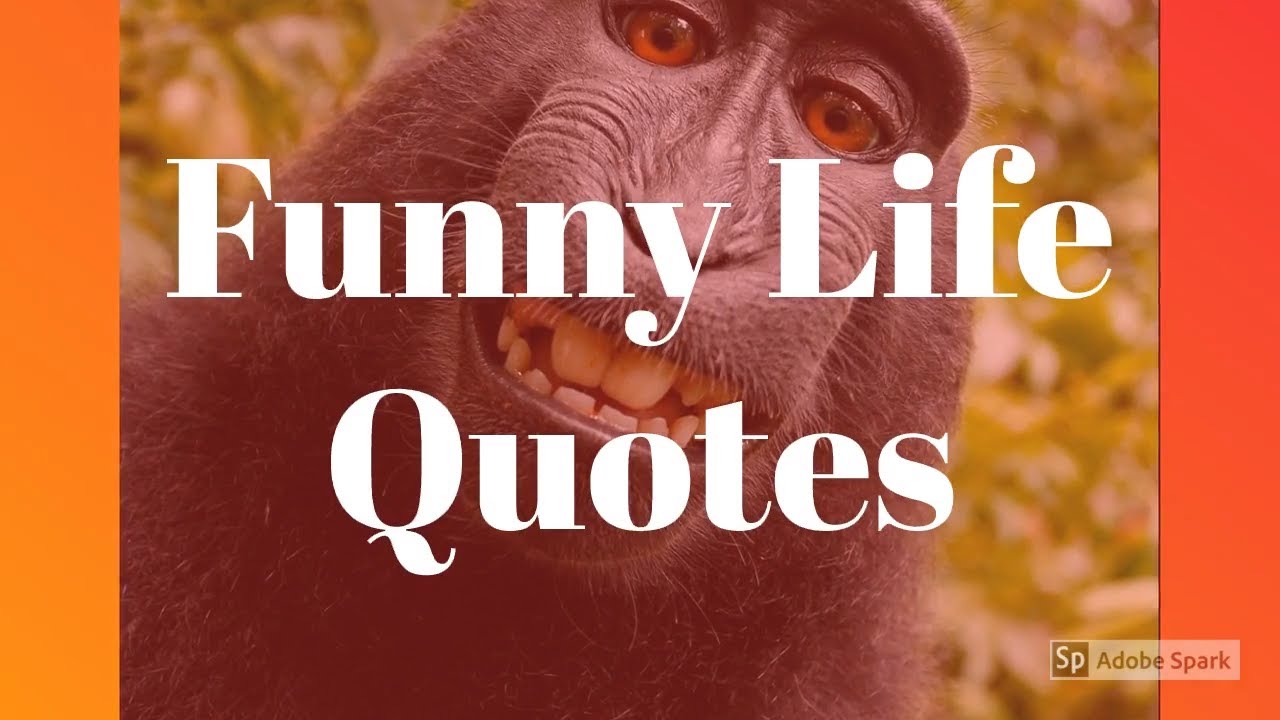 Funny Life Lesson Quotes