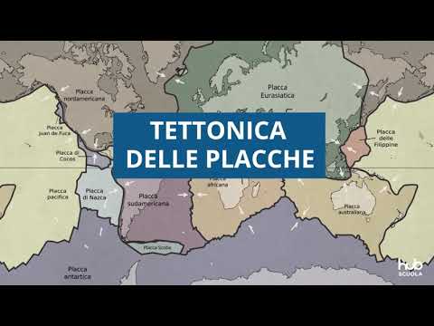 The dynamics of the lithosphere