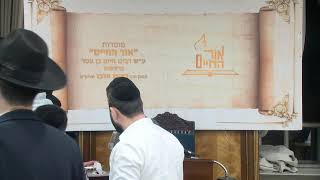 ביאורים על פרשת השבוע - פרשת צו תשפ"ד
