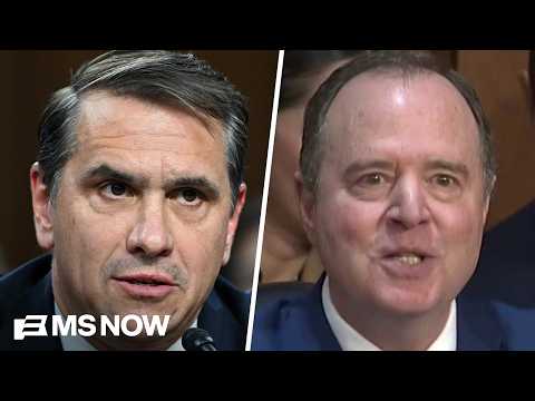 Schiff slams Blanche: 'He has sought to compensate cop-beaters with tax payer funds'