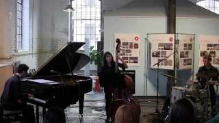 Straight Up & Down - Aseo Friesacher Trio