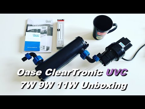 Watch Video on YouTube